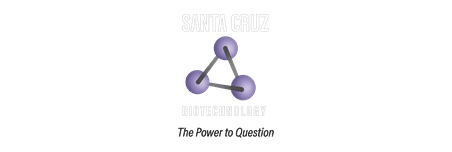 Santa Cruz Biotechnology